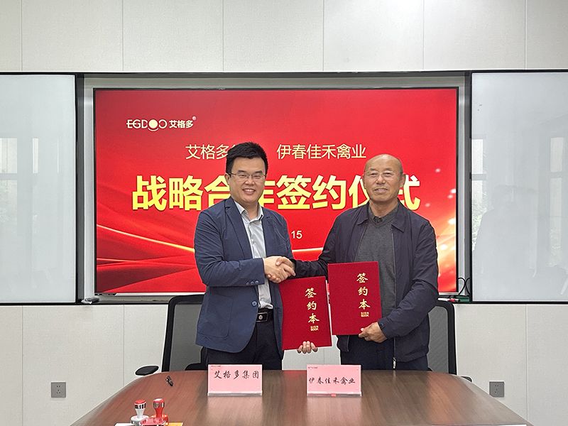 強強聯合，共筑蛋雞產業新篇章：艾格多集團與佳禾禽業簽署戰略合作協議